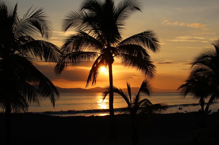 Black Palm Rum Impressionen