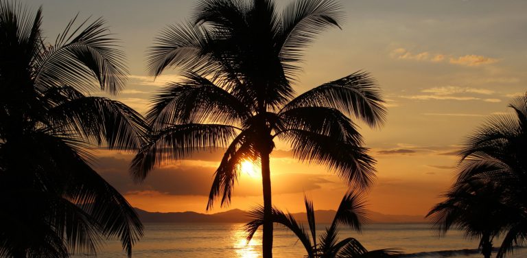 Black Palm Rum Impressionen